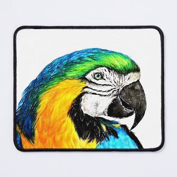 Item preview, Maccaw study designed and sold by Linda  Hammond.