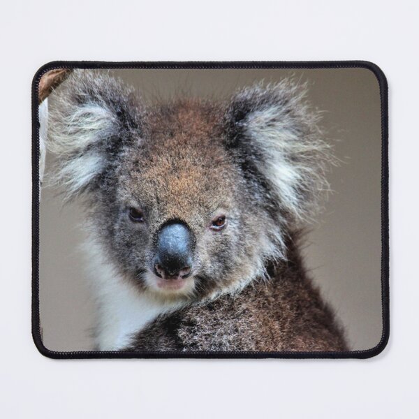 Item preview, koala designed and sold by Linda Hammond.