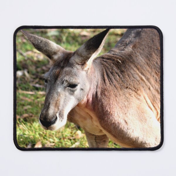 Item preview, kangaroo designed and sold by Linda Hammond.