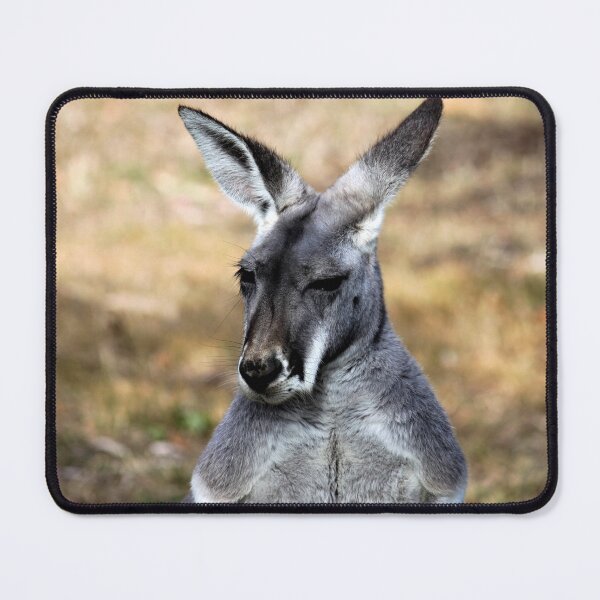 Item preview, Kangaroo designed and sold by Linda Hammond.