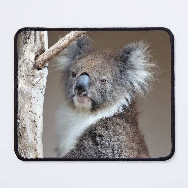 Item preview, Koala designed and sold by Linda Hammond.