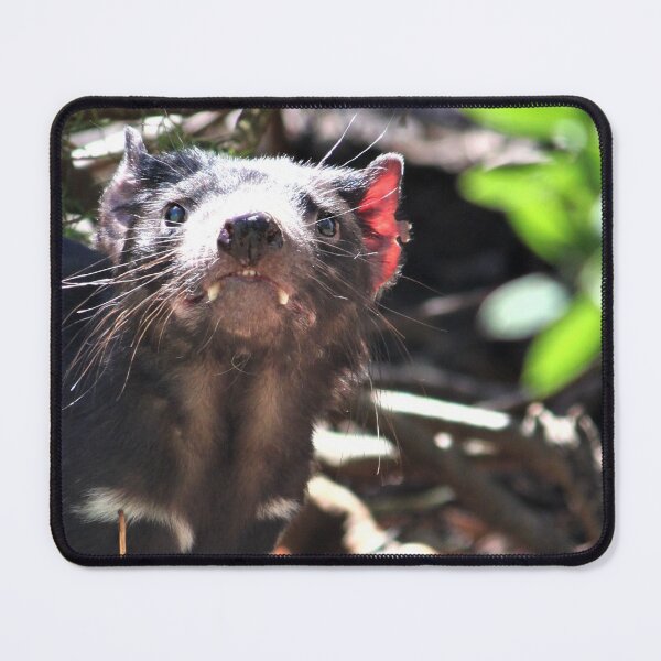 Item preview, Tasmanian Devil designed and sold by Linda Hammond.
