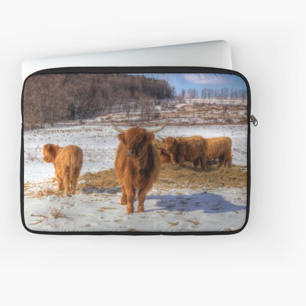 Scottish Highland Cattle Laptop Sleeve