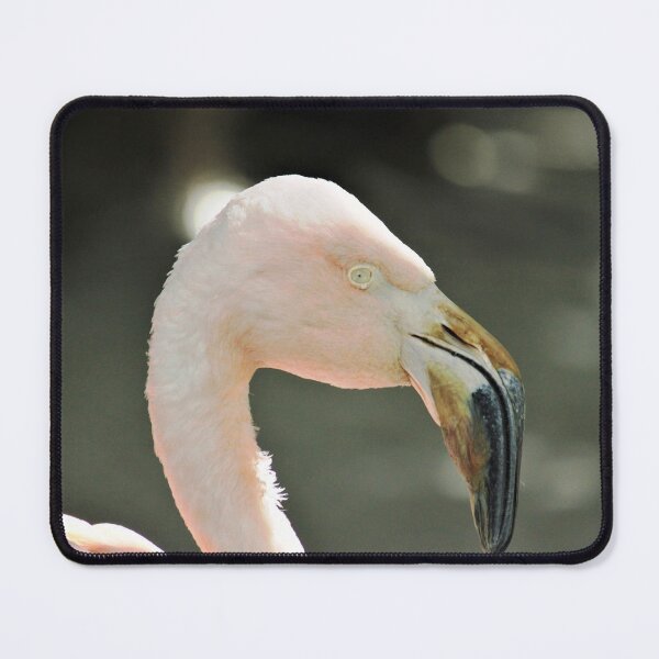 Item preview, flamingo designed and sold by Linda Hammond.