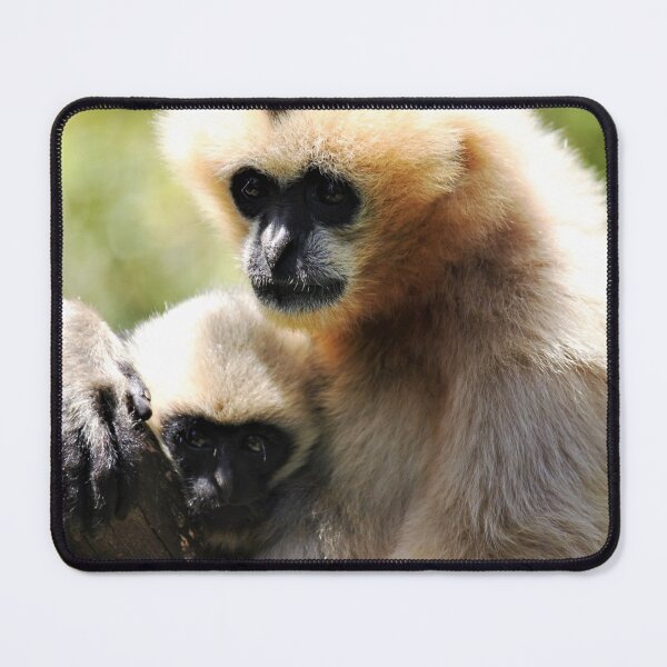 Item preview, Gibbons designed and sold by Linda  Hammond.