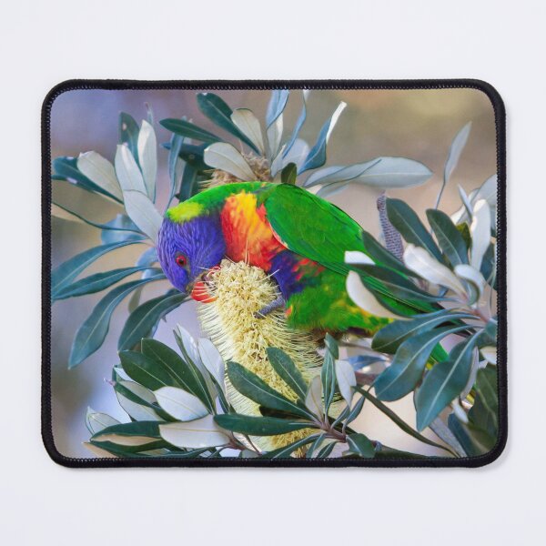 Item preview, Rainbow Lorikeet Feeding On Nectar designed and sold by Anita Smedberg.