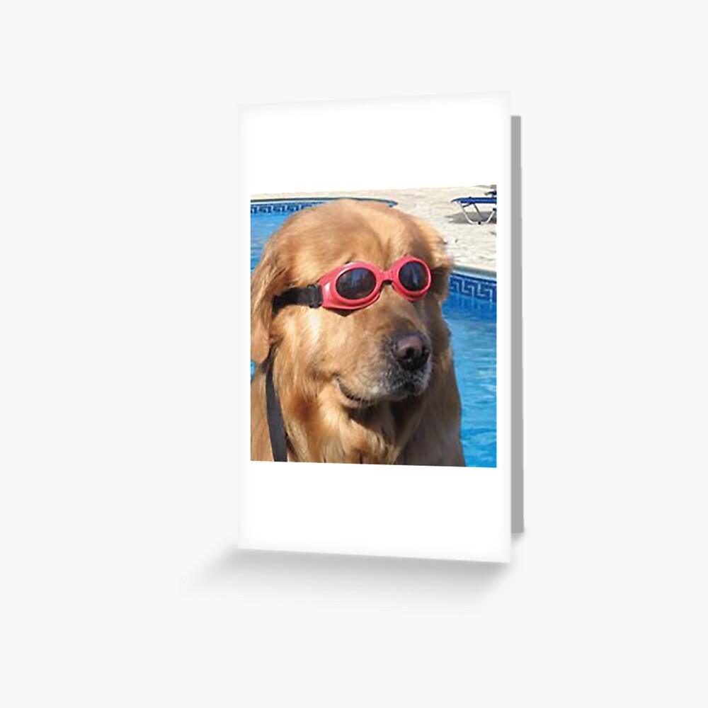 "DOGGO" Greeting Card for Sale by yeet-arizona | Redbubble