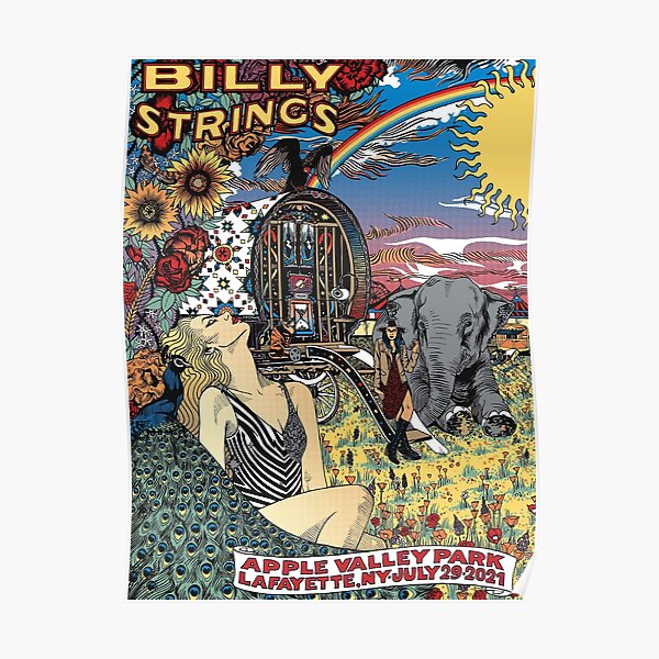 TOUR 2021 BILLY APPLE VALLEY PARK STRINGS LAFAYETTE, NY Poster