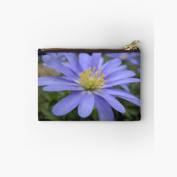 Item preview, befriended a stranded star © 2006 W.Cook designed and sold by Luminous Particulars .