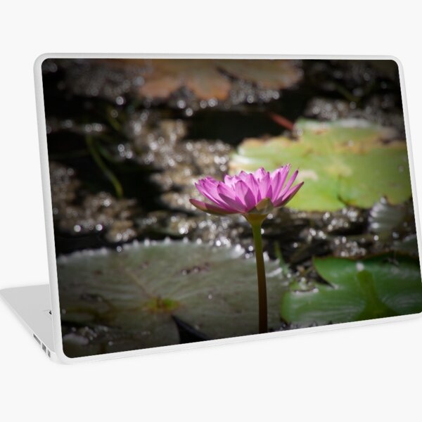 Water Lilly Laptop Skin