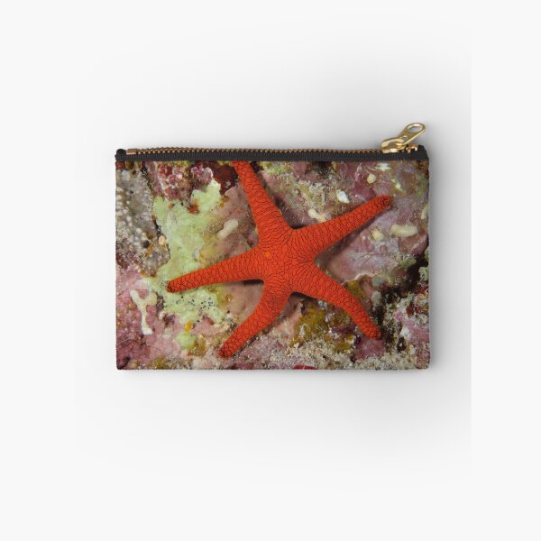 Item preview, Sea Star designed and sold by Andrew Trevor-Jones.