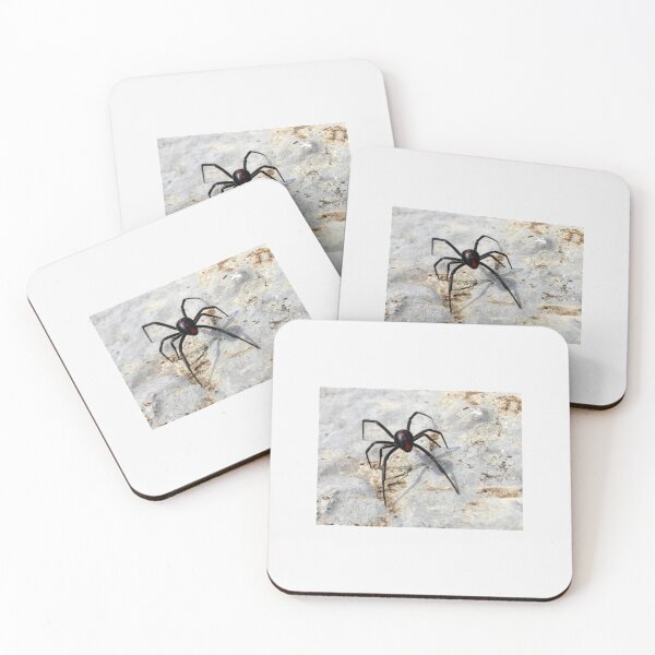 Item preview, Beautiful black widow spider| Perfect Gift designed and sold by marveceolga.