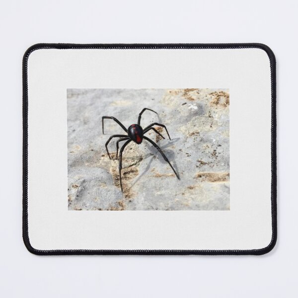 Item preview, Beautiful black widow spider| Perfect Gift designed and sold by marveceolga.
