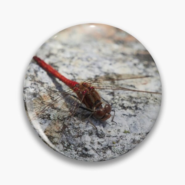 Item preview, Vagrant darter minimalistic designed and sold by Jouko Lehto Photography.