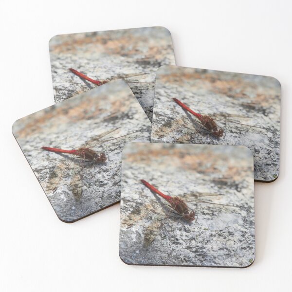Item preview, Vagrant darter minimalistic designed and sold by Jouko Lehto Photography.