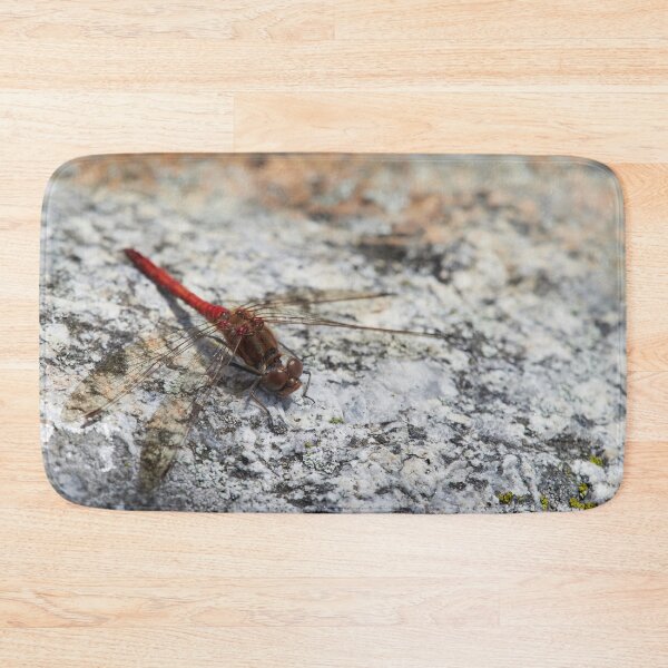Item preview, Vagrant darter minimalistic designed and sold by Jouko Lehto Photography.