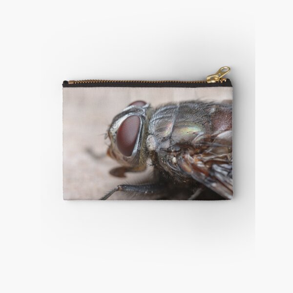Item preview, Tachinid Fly designed and sold by Andrew Trevor-Jones.