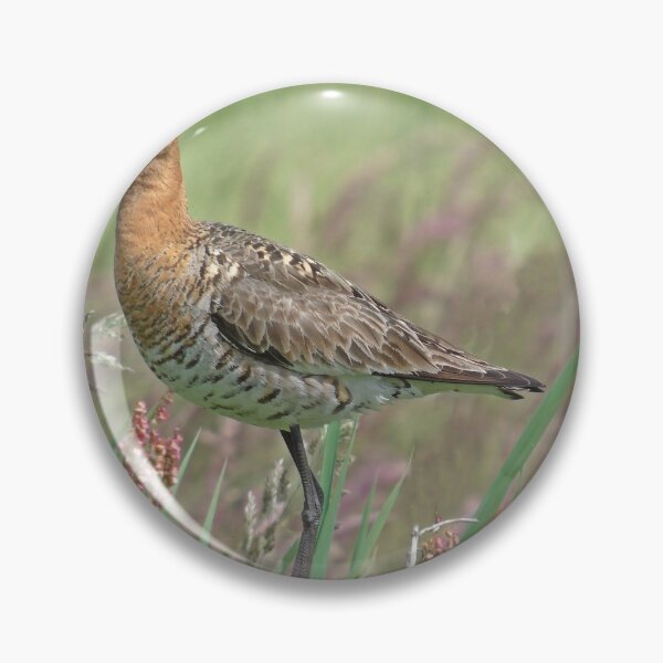 Item preview, Black tailed godwit designed and sold by Anita van Gendt.