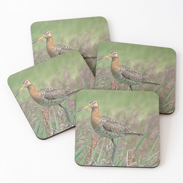 Item preview, Black tailed godwit designed and sold by Anita van Gendt.