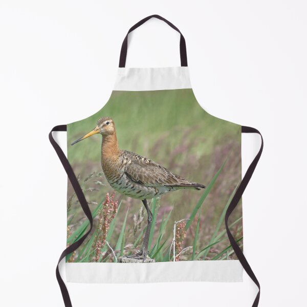 Item preview, Black tailed godwit designed and sold by Anita van Gendt.