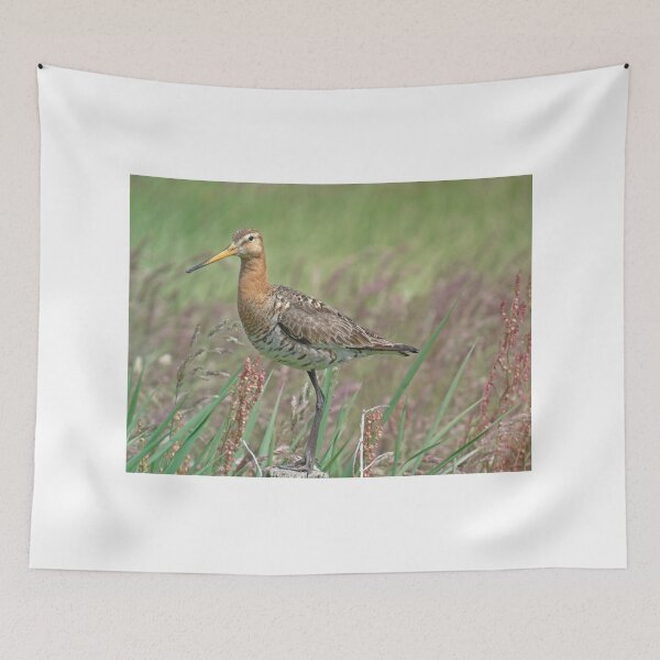 Item preview, Black tailed godwit designed and sold by Anita van Gendt.