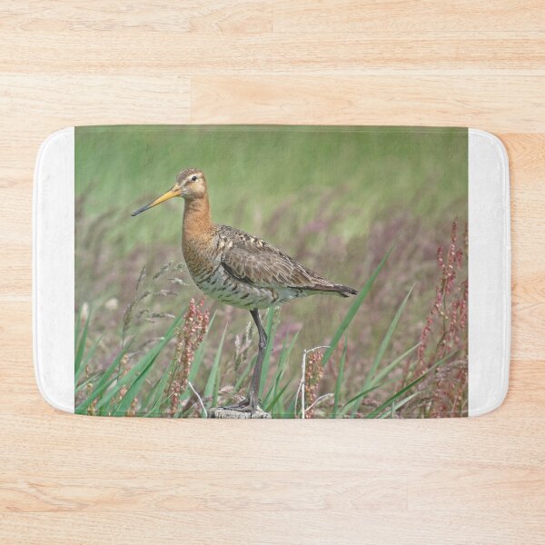 Item preview, Black tailed godwit designed and sold by Anita van Gendt.