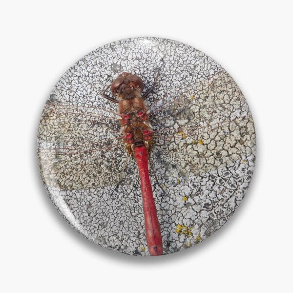 Item preview, Vagrant darter on Rhizocarpaceae designed and sold by Jouko Lehto Photography.