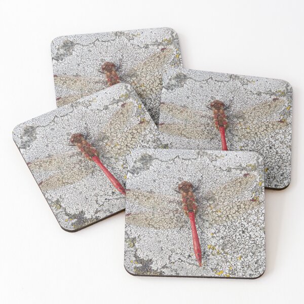 Item preview, Vagrant darter on Rhizocarpaceae designed and sold by Jouko Lehto Photography.
