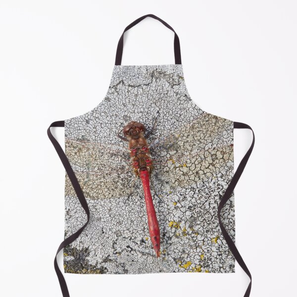 Item preview, Vagrant darter on Rhizocarpaceae designed and sold by Jouko Lehto Photography.