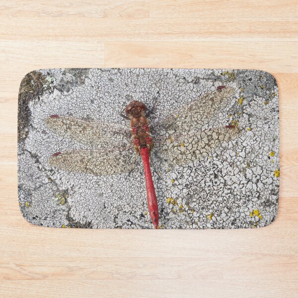 Item preview, Vagrant darter on Rhizocarpaceae designed and sold by Jouko Lehto Photography.