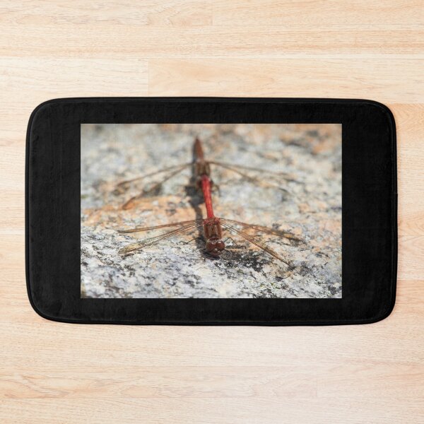 Item preview, Vagrant darter tandem designed and sold by Jouko Lehto Photography.