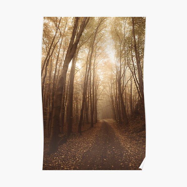 Autumn mood Poster