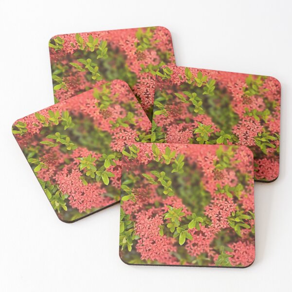 Item preview, Bloom Santan designed and sold by alexesplanalat8.