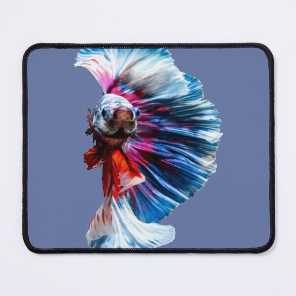Item preview, Magnificent Betta Splendens Aquarium Fish designed and sold by taiche.