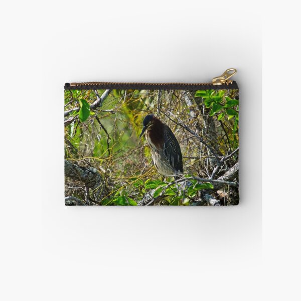 Item preview, Little Green Heron - In the Everglades designed and sold by Stephen Beattie.