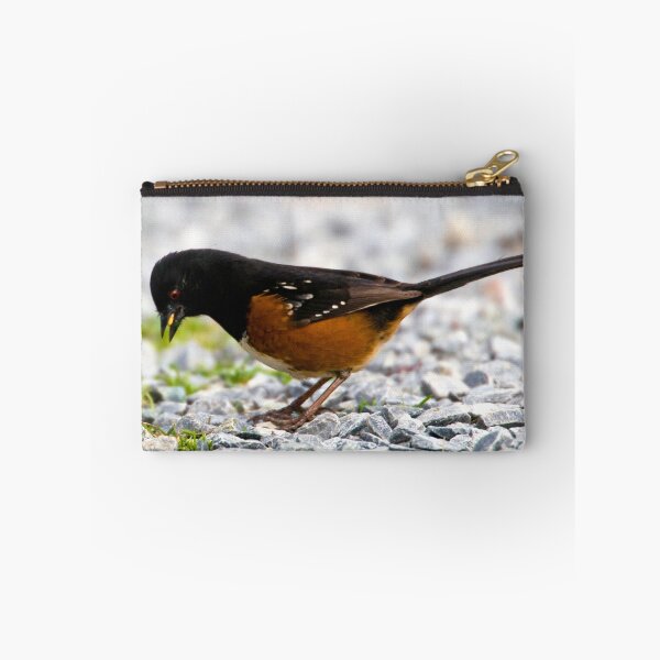 Item preview, Spotted Tohee: A Gentle, Sweet, Songbird designed and sold by David Friederich.