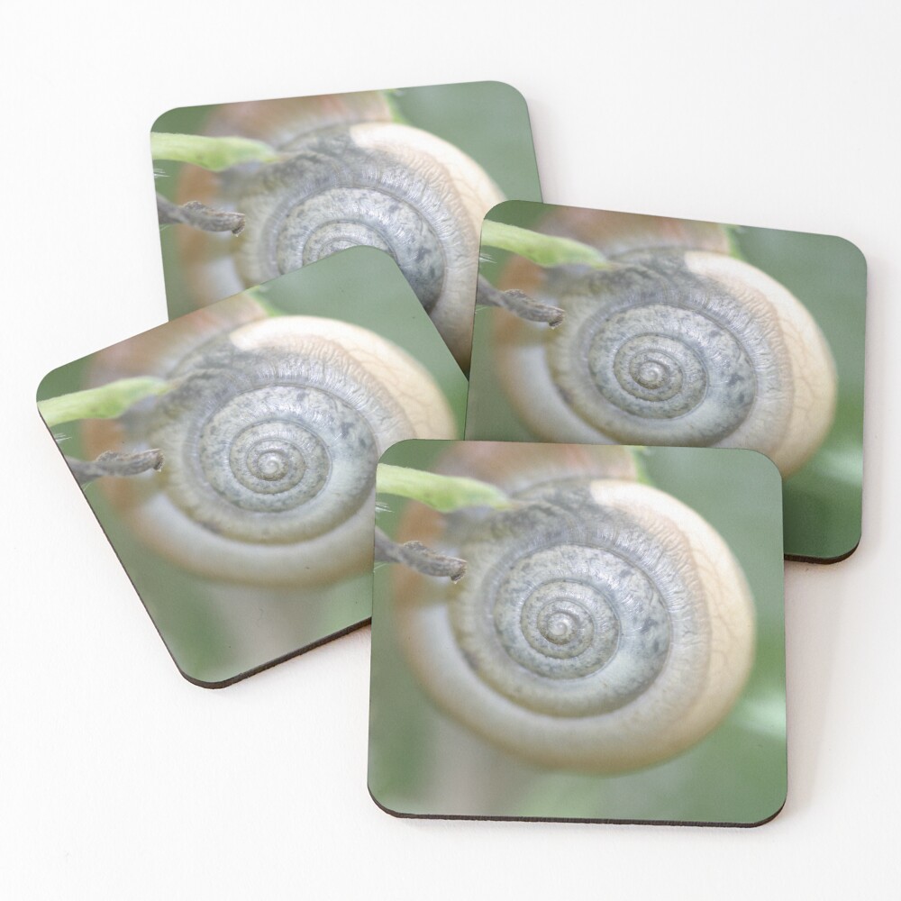 Item preview, Coasters (Set of 4) designed and sold by 2020visuals.
