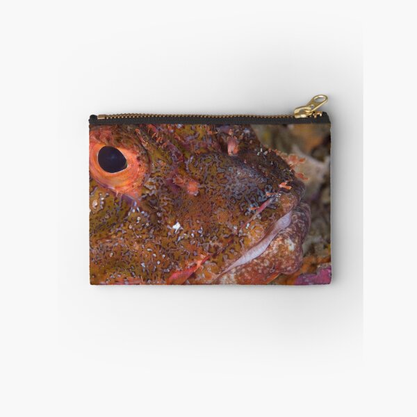 Item preview, Im a scorpio designed and sold by Stephen Colquitt.