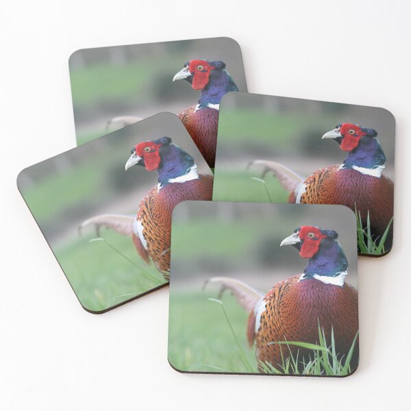 Item preview, Pheasant in Grass designed and sold by 2020visuals.