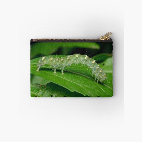 Item preview, Transverse Moth Caterpillar designed and sold by Andrew Trevor-Jones.