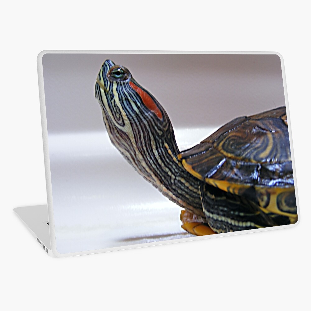 Item preview, Laptop Skin designed and sold by believer9.