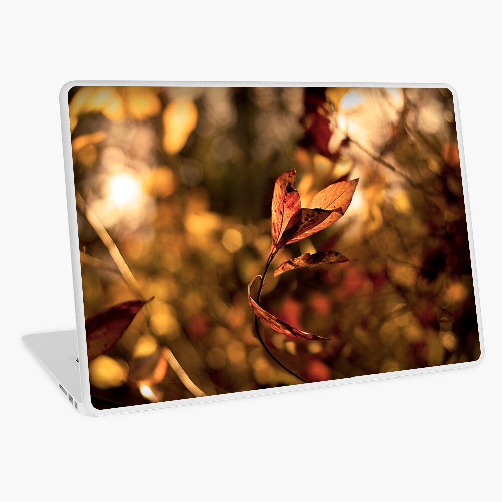 Item preview, Laptop Skin designed and sold by believer9.