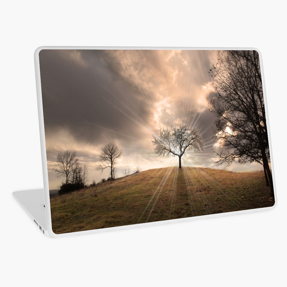 Item preview, Laptop Skin designed and sold by believer9.