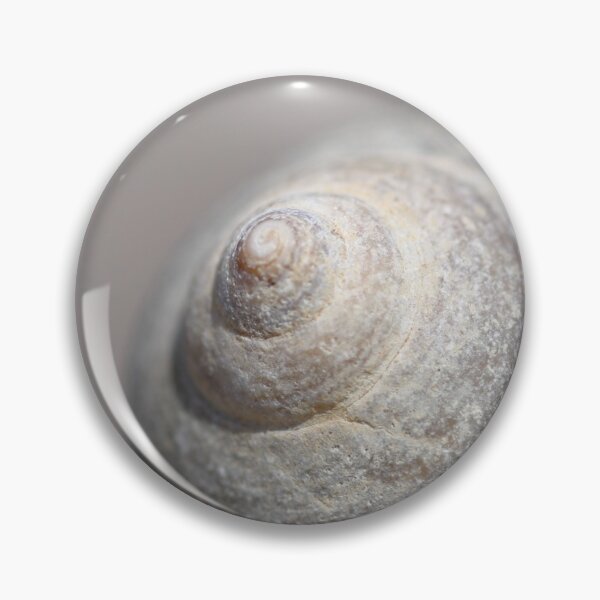 Item preview, Sea Snail Shell, Snail Shell designed and sold by 2020visuals.