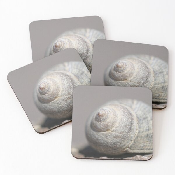 Item preview, Sea Snail Shell, Snail Shell designed and sold by 2020visuals.