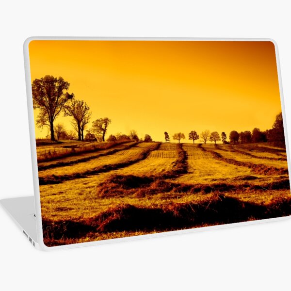 Golden Fields Laptop Skin