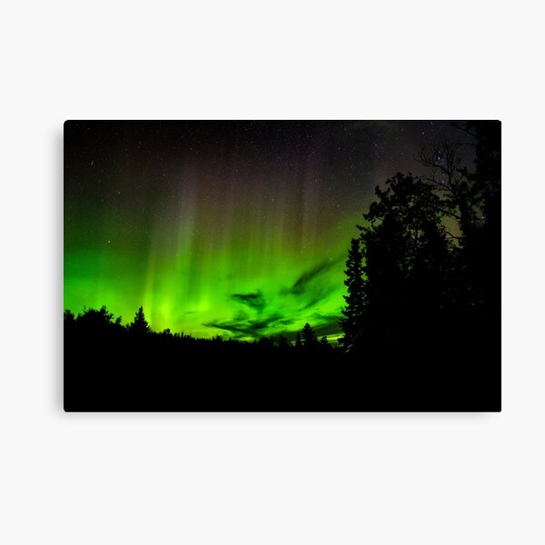 Northern Lights Over Minnesota Canvas Print