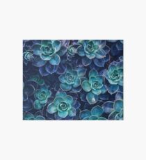 Succulents Art Board