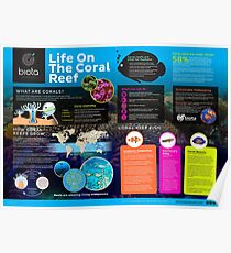 Coral Reefs Poster