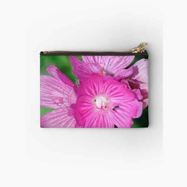Item preview, California Wildflowers • Marin Headlands  •  Series designed and sold by Alice Leon.